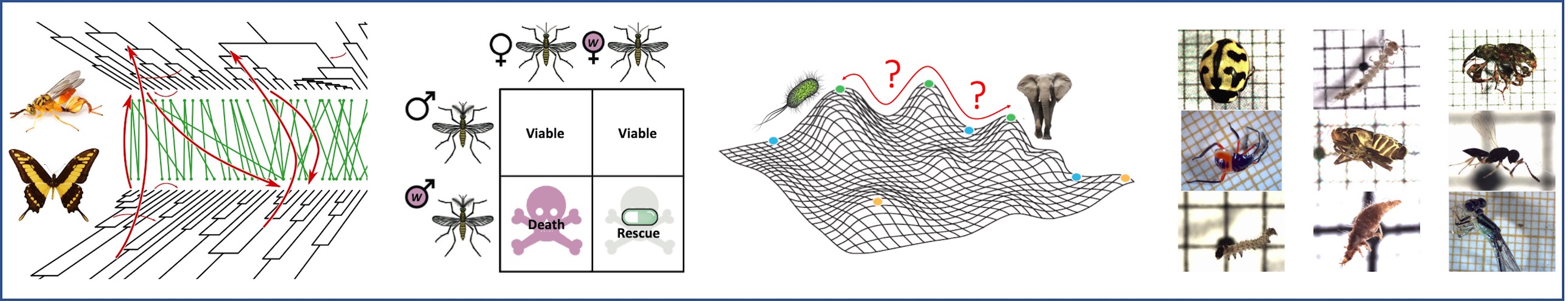 Patchwork illustration